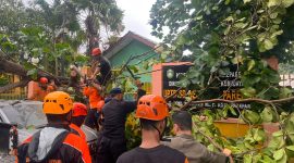 Batalyon B Pelopor Satuan Brimob Polda Sulsel bersama Badan Penanggulangan Bencana Daerah (BPBD) Kota Parepare, mengevakuasi pohon tumban