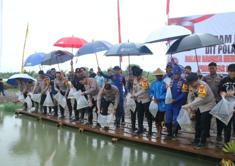 Polda Sulawesi Selatan (Sulsel) melalui Direktorat Polisi Air dan Udara (Dit Polairud) 
melakukan kegiatan penaburan benih ikan nila dan ikan mas di Empang Panaikang, Makassar, yang dikelola oleh dua Kelompok Tani Tambak, dalam mendukung program Ketahanan Pangan Nasional. 