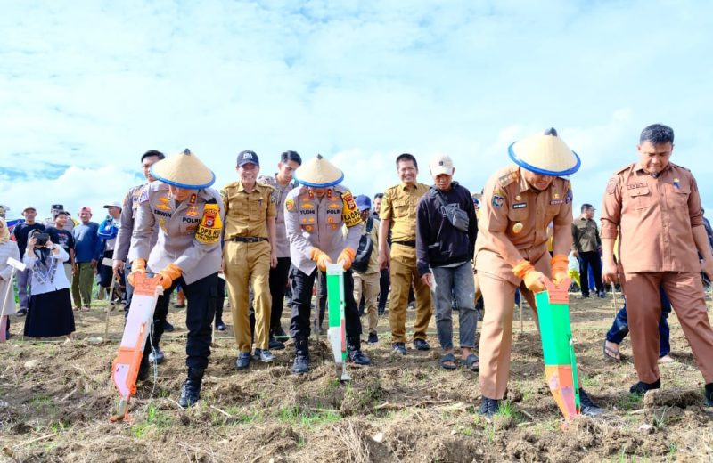 Kapolda Sulawesi Selatan, Irjen Pol. Yudhiawan, melakukan peninjauan lahan produktif dan penanaman bibit jagung di Desa Bolli, Kecamatan Ponre, Kabupaten Bone, Sulawesi selatan.
