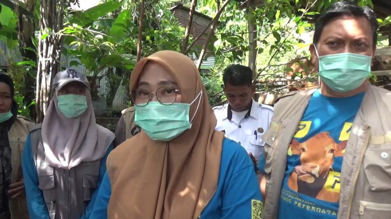 Kadis PKP kota Parepare, Wildana saat diwawancarai 