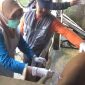 DKP memberikan vaksinasi dan vitamin kepada sapi milik para peternak yang ada di kota Parepare, untuk mencegah PMK