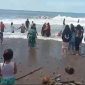 Suasana saat tim SAR gabungan mengevakuasi pengunjung yang menjadi korban tenggelam saat berenang di Pantai Lumpue kota Parepare