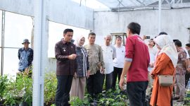 Wakil Wali Kota Parepare, Sulawesi selatan (Sulsel) Hermanto, meninjau pelaksanaan Pasar Tani yang digelar di halaman Kantor Dinas Pertanian, Kelautan, dan Perikanan (PKP) Kota Parepare