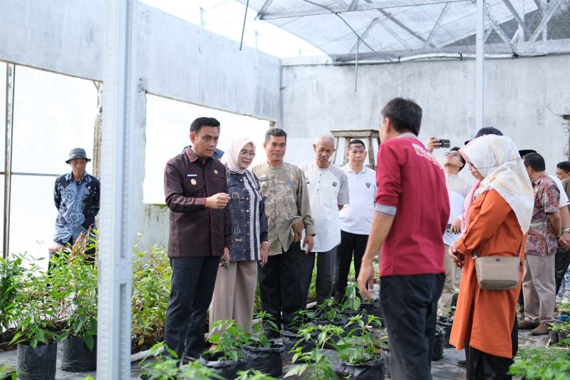 Wakil Wali Kota Parepare, Sulawesi selatan (Sulsel) Hermanto, meninjau pelaksanaan Pasar Tani yang digelar di halaman Kantor Dinas Pertanian, Kelautan, dan Perikanan (PKP) Kota Parepare