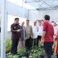 Wakil Wali Kota Parepare, Sulawesi selatan (Sulsel) Hermanto, meninjau pelaksanaan Pasar Tani yang digelar di halaman Kantor Dinas Pertanian, Kelautan, dan Perikanan (PKP) Kota Parepare