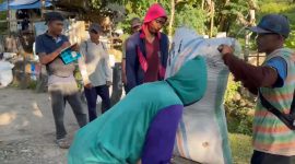 Bulog Parepare melakukan pembelian gabah, langsung ke petani percepat swasembada pangan