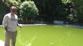 Ketua RW 7 Jompie kelurahan Bukit Harapan kecamatan Soreang kota Parepare, memperlihatkan kondisi wisata kolam Jompie tidak terurus 