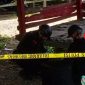 Tim Jibom Gegana Satbrimob Polda Sulsel evakuasi mortir ke lokasi yang aman. (Faizal/SuaraDaring)