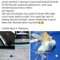 Foto yang diunggah oleh oknum di media sosial khususnya group Facebook dengan modus minta bantuan dana perawatan dan mencaplok nama RSUD Andi Makkasau Parepare, HOAX