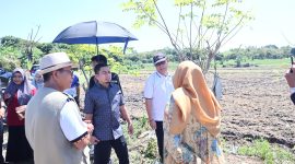 Wali Kota Parepare, Sulawesi selatan, Tasming Hamid, melakukan serangkaian kunjungan lapangan sebagai bentuk perhatian langsung terhadap pembangunan dan ketahanan pangan di Kota Parepare, Senin, 12 Mei 2025.