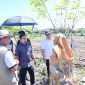 Wali Kota Parepare, Sulawesi selatan, Tasming Hamid, melakukan serangkaian kunjungan lapangan sebagai bentuk perhatian langsung terhadap pembangunan dan ketahanan pangan di Kota Parepare, Senin, 12 Mei 2025.