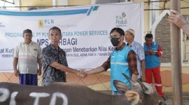 Menejer NPS PLTD Suppa Achmad Rizal Priyanto, saat menyerahkan bantuan hewan sapi kurban
