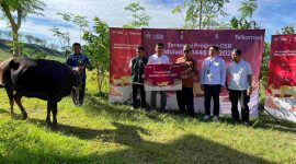 Telkomsel kembali menyalurkan hewan kurban ke seluruh Indonesia melalui inisiatif Corporate Social Responsibility (CSR) 'Sambungkan Senyuman’.