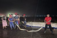 Petugas Damkar kota Parepare, mengevakuasi seekor ular piton sepanjang Lima Meter yang meresahkan warga di Jalan Menara Tanggul, Kelurahan Wattang Soreang, Kecamatan Soreang