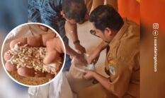 Viral, Bantuan Beras Bapanas Kehitaman dan Penuh dengan Kutu