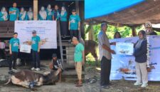 PT Pelabuhan Indonesia (Pelindo) Multi Terminal Branch Parepare, Sulawesi selatan, menyerahkan bantuan hewan sapi kurban untuk dibgikan ke masyarakat di momen Idul Adha 1447 H/2026M