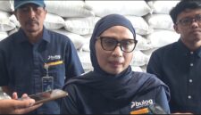Pincab Bulog Parepare, Rahmi Mangerang saat diwawancarai awak media