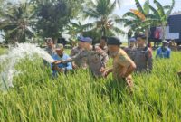 Komandan Batalyon B Pelopor Satuan Brimob Polda Sulsel, Kompol Dr. Ramli, menyemprotkan air ke sawah milik petani yang mengalami kekeringan