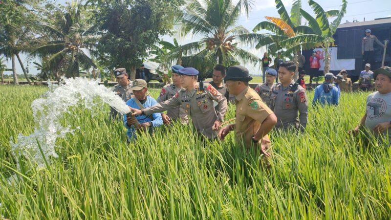 Komandan Batalyon B Pelopor Satuan Brimob Polda Sulsel, Kompol Dr. Ramli, menyemprotkan air ke sawah milik petani yang mengalami kekeringan