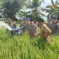 Komandan Batalyon B Pelopor Satuan Brimob Polda Sulsel, Kompol Dr. Ramli, menyemprotkan air ke sawah milik petani yang mengalami kekeringan